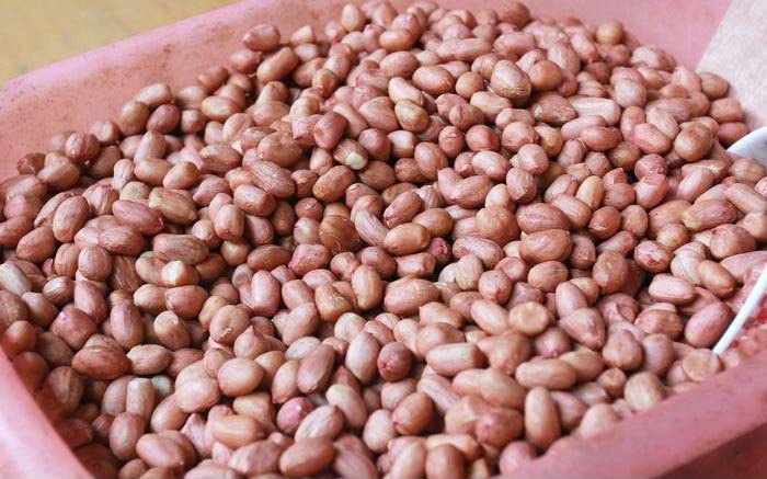 花生豆篩分設備