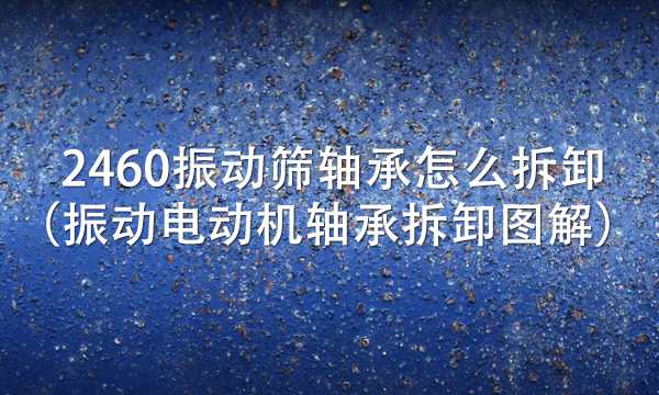 2460振動(dòng)篩軸承怎么拆卸（振動(dòng)電動(dòng)機(jī)軸承拆卸圖解） 