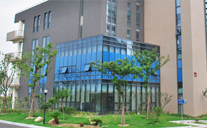 解決安徽某印刷科技有限公司普通旋振篩糊網無法篩分的問題