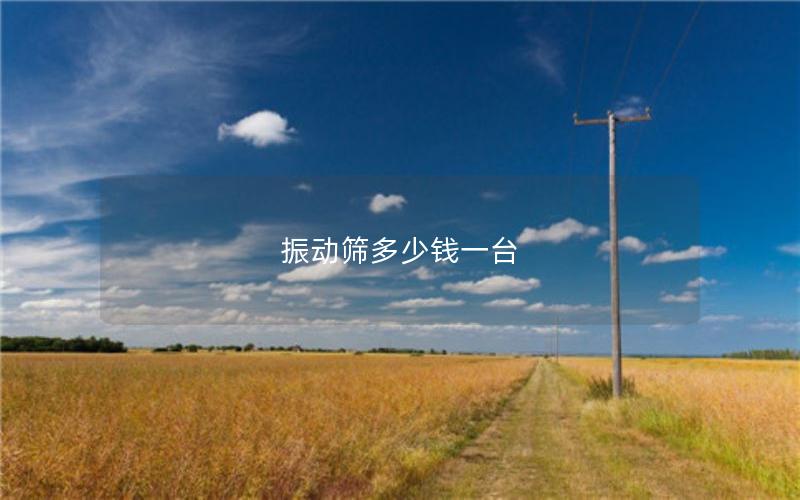 振動篩多少錢一臺