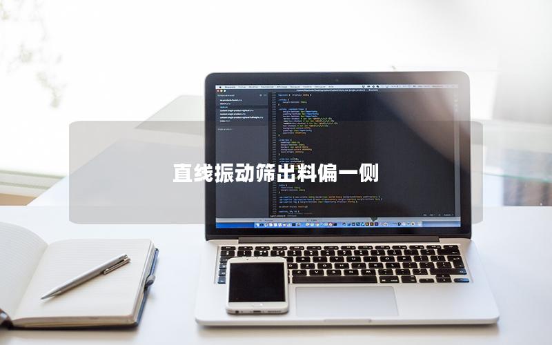 直線振動篩出料偏一側